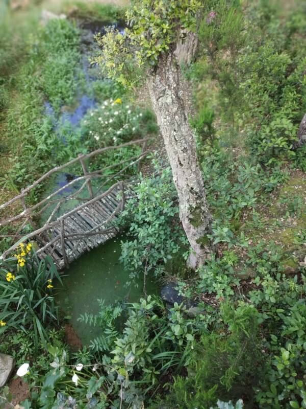 Housing & Community Rewilding